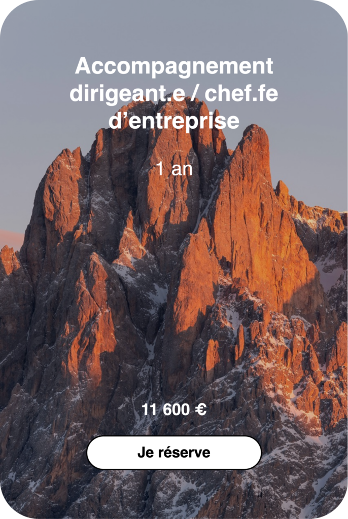 Accompagnement dirigeant.e / chef.fe d'entreprise - Thomas Holistique